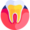 tooth